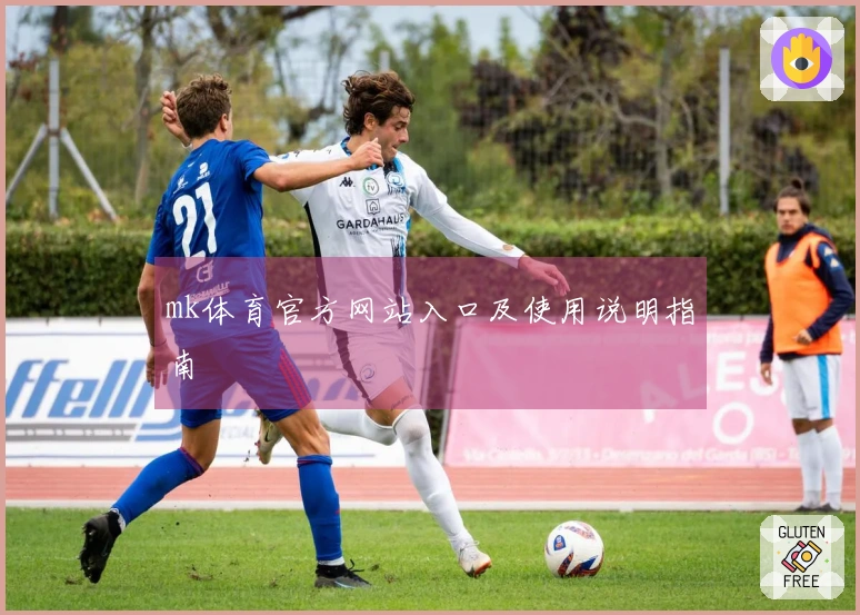 mk体育官方网站入口及使用说明指南