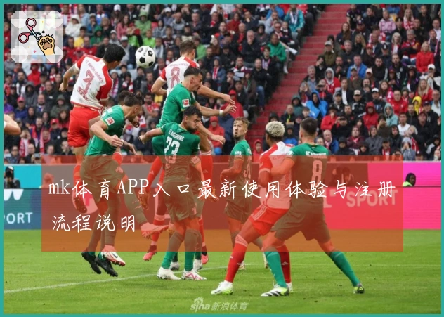 mk体育APP入口最新使用体验与注册流程说明