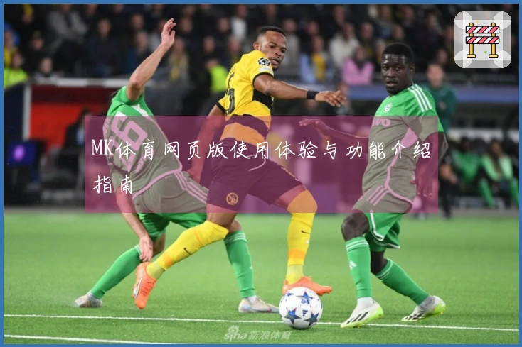 MK体育网页版使用体验与功能介绍指南