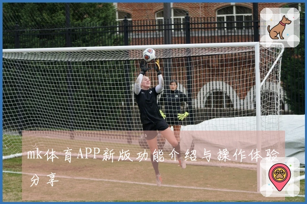 mk体育APP新版功能介绍与操作体验分享